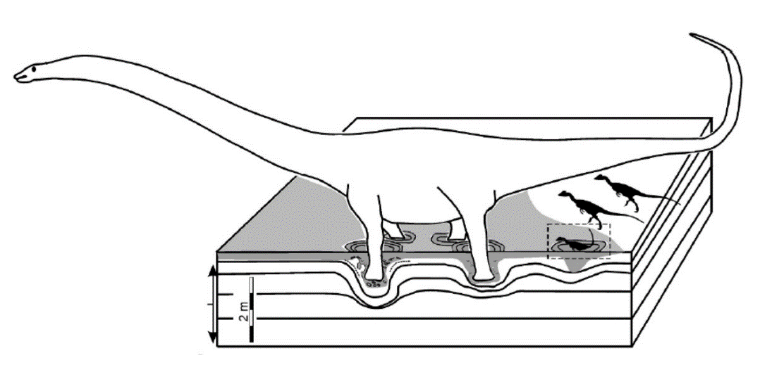 蜥脚类恐龙踩出来的大坑,泥潭龙等深陷其中