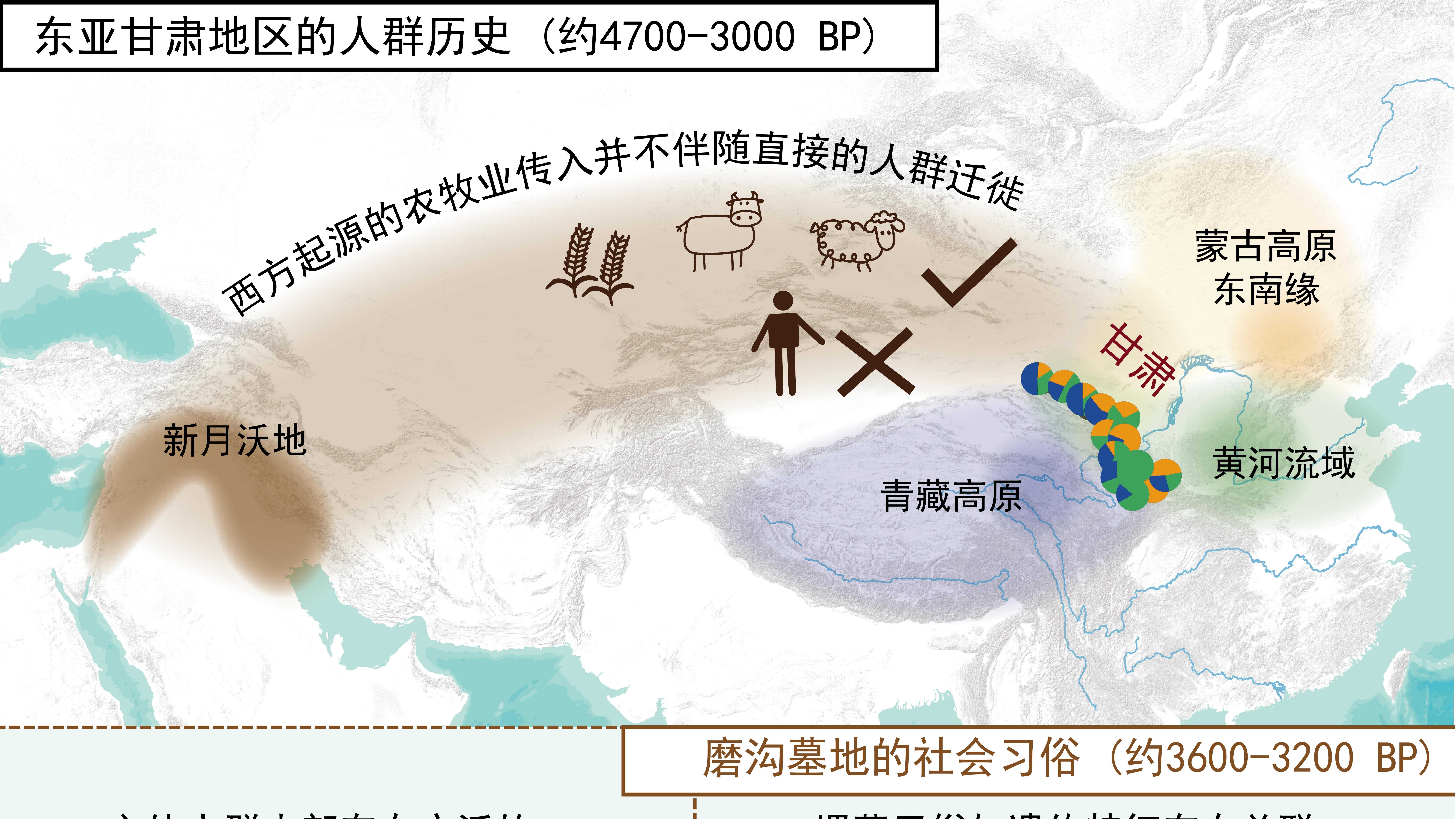 是人群扩散还是技术传播？——12年深耕古DNA研究揭示亚欧交流背景下甘肃史前人群的遗传历史与社会结构